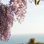 Solaride Apartments, Free Private Parking With Videosurvelliance And Shuttle Service * Salerno