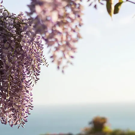 Solaride Apartments, Free Private Parking With Videosurvelliance And Shuttle Service * Salerno