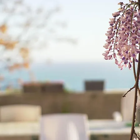 Apartament Solaride Apartments, Free Private Parking With Videosurvelliance And Shuttle Service