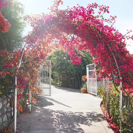 Apartament Solaride Apartments, Free Private Parking With Videosurvelliance And Shuttle Service