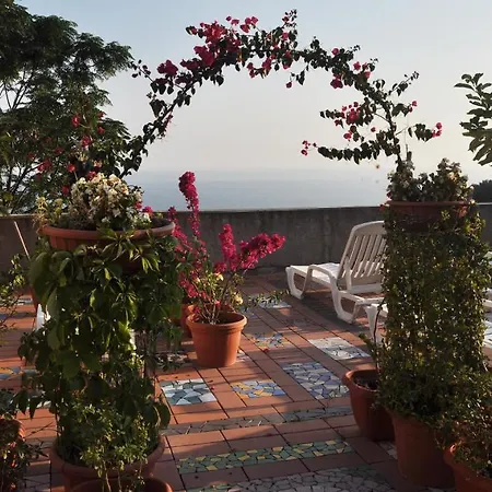 Apartament Solaride Apartments, Free Private Parking With Videosurvelliance And Shuttle Service
